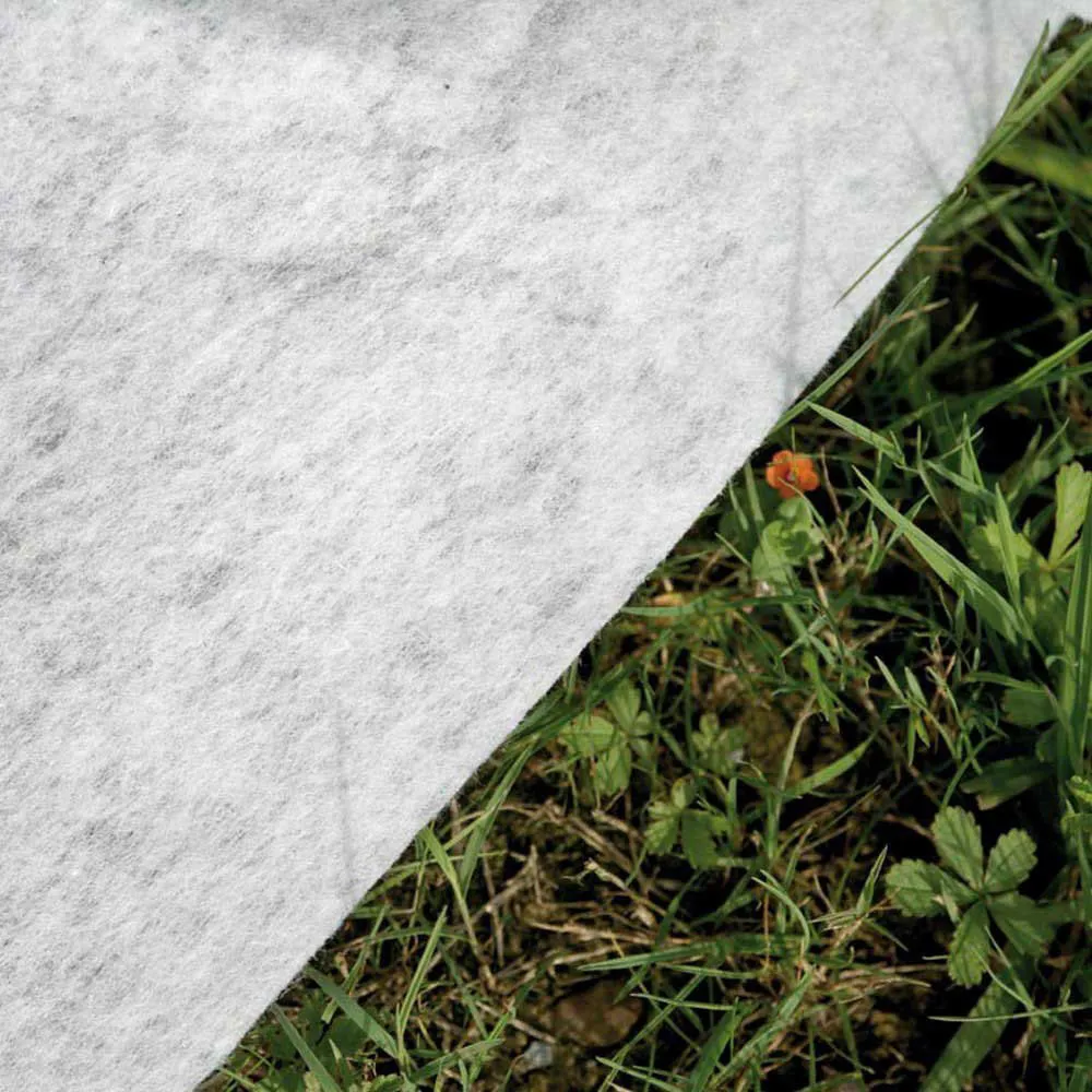 Avantgarde Composite Pool 6 Avantgarde Composite Pool - Image 4